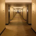 wall sconce lighting